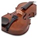 Stentor Student 2 Violin Outfit, 1/2, close