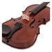 Stentor Conservatoire 2 Violin 1/8, close