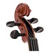 Stentor Conservatoire Violin Outfit 1/8, head