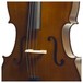 Stentor Student 2 Cello 