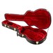 Ibanez AS-C Hard Case For AS Series