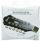 Ibanez IACS12C 12 Strings Acoustic Set