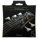 Ibanez IEBS5C 5 String Bass Set