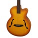 Aria FEB Fretless Electro Acoustic Bass Guitar, Light Vintage Burst