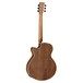 Tanglewood DBT SFCE EB Discovery Super Folk Electro Acoustic Guitar Back