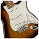 Fender Standard Stratocaster, Pau Ferro, Brown Sunburst body detail