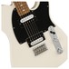 Fender Standard Telecaster HH, Pau Ferro, Olympic White Controls