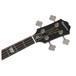 Epiphone Jack Casady Bass headstock