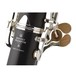 Buffet Crampon Oboe Logo