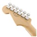 Fender Standard Stratocaster, Plus Top, Pau Ferro, 