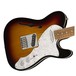 Fender Deluxe Telecaster Thinline, Pau Ferro, 3-Tone Sunburst Body