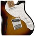 Fender Deluxe Telecaster Thinline, Pau Ferro, 3-Tone Sunburst Controls