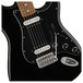 Fender Standard Stratocaster HH, Pau Ferro, Black Controls