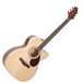 Greg Bennett OM-5CE Electro Acoustic Guitar, Natural