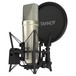 Tannoy TM1 Recording Package with Condenser Microphone