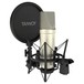 Tannoy TM1 Recording Package with Condenser Mic