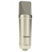 Tannoy TM1 Condenser Microphone