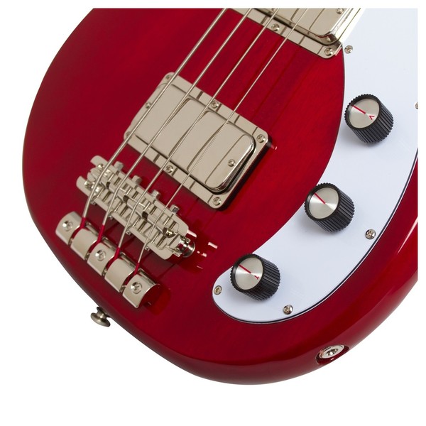 Epiphone Embassy PRO Bass Controls