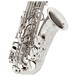 Yanagisawa AWO10S Alto Saxophone, Silver