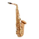 Yanagisawa AWO2 Alto Saxophone, Bronze