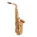 Yanagisawa AWO2 alt saxofón, bronz