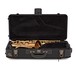 Yanagisawa AWO2 Alto Saxophone, Bronze