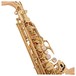 Yanagisawa AWO2 Alto Saxophone, Bronze