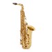 Yanagisawa AWO1U Alto Saxophone, Unlacquered