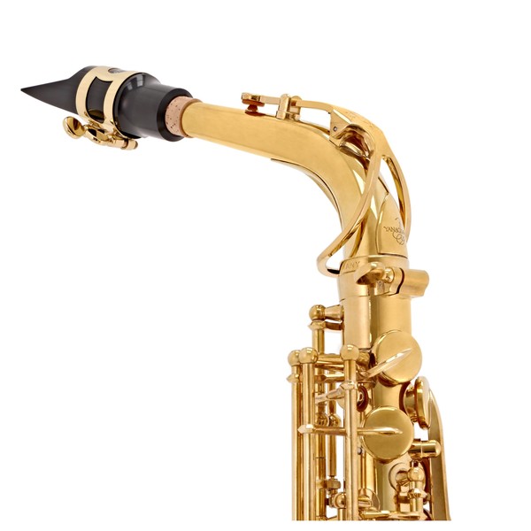 Yanagisawa AWO1 Alto Saxophone, Brass