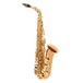 Yanagisawa AWO20 Alto Saxophone, Bronze