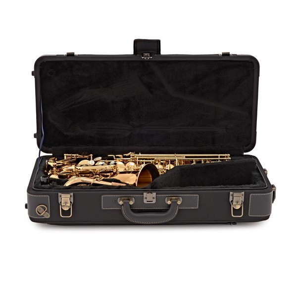 Yanagisawa AWO20 Alto Saxophone, Bronze