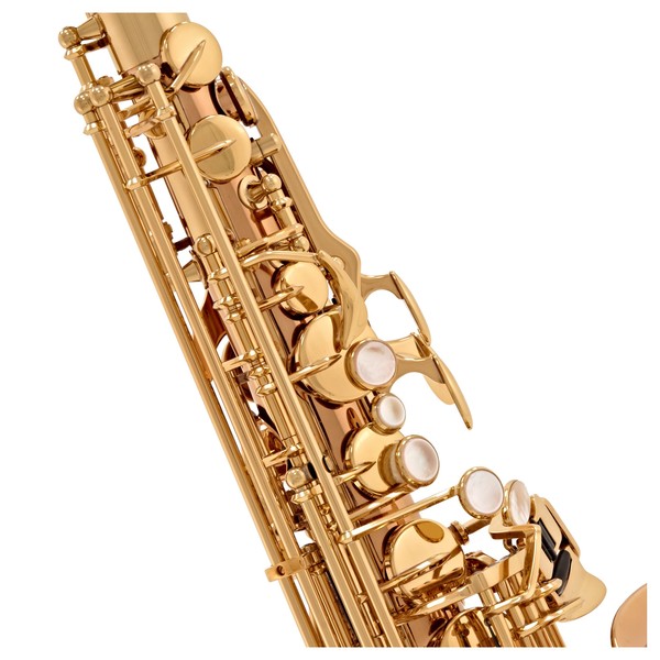 Yanagisawa AWO20 Alto Saxophone, Bronze
