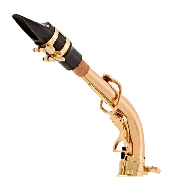 Yanagisawa AWO20 Alto Saxophone, Bronze