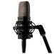 Warm Audio WA-14 Condenser Microphone - Angled