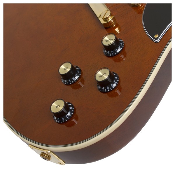 Epiphone Ltd Ed Lee Malia RD Custom Artisan Outfit | Gear4music