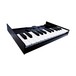 Roland K-25m Keyboard for Roland Boutique Series - Angled