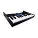 Roland K-25m Keyboard For Roland Boutique Series - Angled