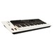 Nektar Panorama P4 MIDI Keyboard - Angled