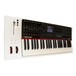 Nektar Panorama P4 Keyboard Controller - Angled 2