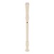 Descant Recorder with Cleaning Rod, Pack of 10