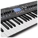 Behringer DeepMind 12 Synthesizer