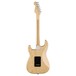 Fender American Professional Stratocaster, Natural