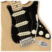 Fender American Pro Strat, Natural