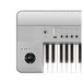 Korg Krome 61 platinum selector close up