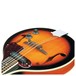 Ibanez M510E Mandolin, Brown Sunburst