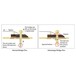 Ibanez Advantage Pins