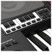 Korg Pa700 Professional Arranger Keyboard, Oriental 