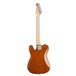 Dean NashVegas Select Hum Hum Electric Guitar, Trans Amber - back