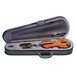 Stagg 4/4 Violin Outfit
