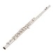 Sonare by Powell 501 Series Flute, Open Hole, C Foot